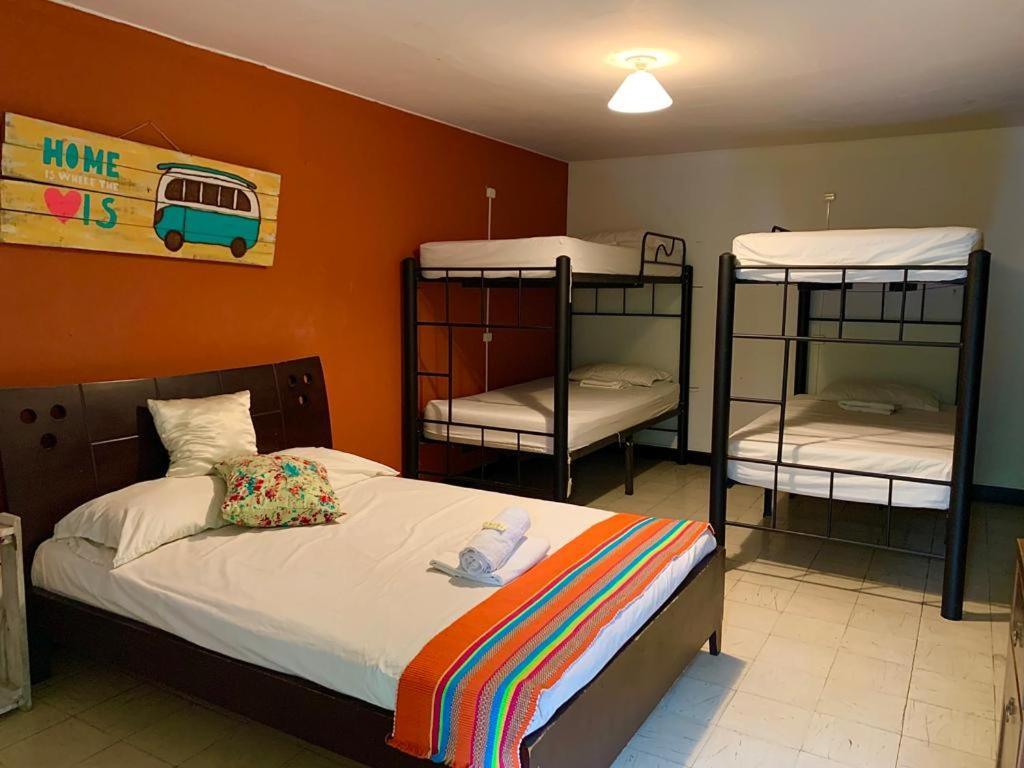 كالي The Pelican Larry Hostel المظهر الخارجي الصورة