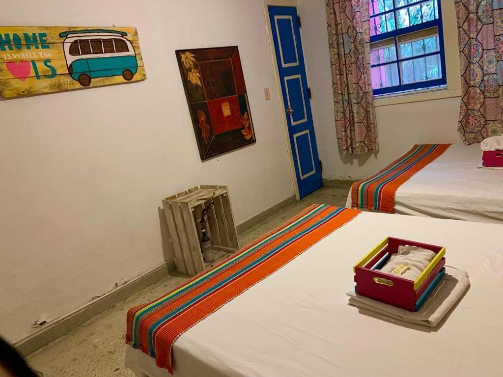 كالي The Pelican Larry Hostel المظهر الخارجي الصورة