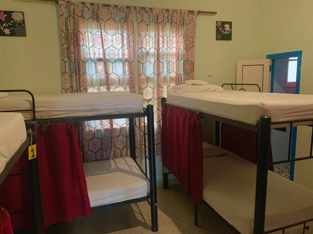 كالي The Pelican Larry Hostel المظهر الخارجي الصورة